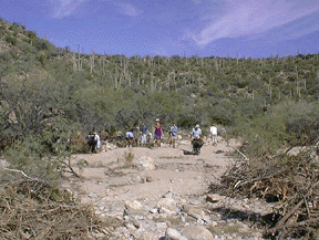 Photograph of clean-up volunteers