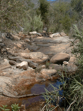 This is a photograph of Sabino Creek taken in the fall.