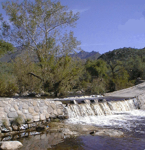 Photograph of water flowing over West Bridge, below Sabino Dam