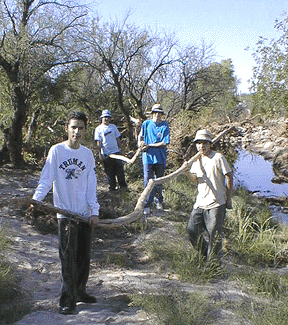 Photograph of students cleaning up debris